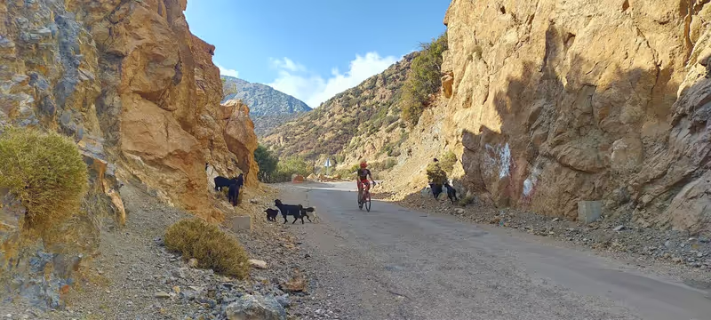 Marrakech Private Tour - Cycling tours