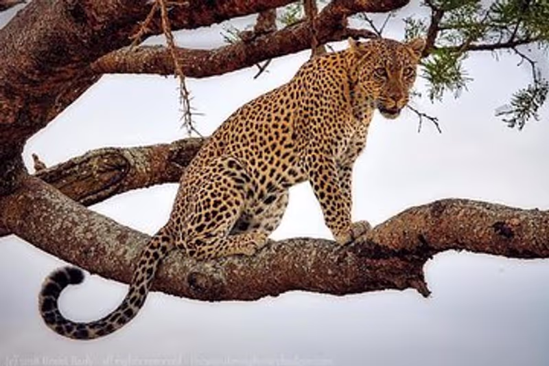Arusha Private Tour - 