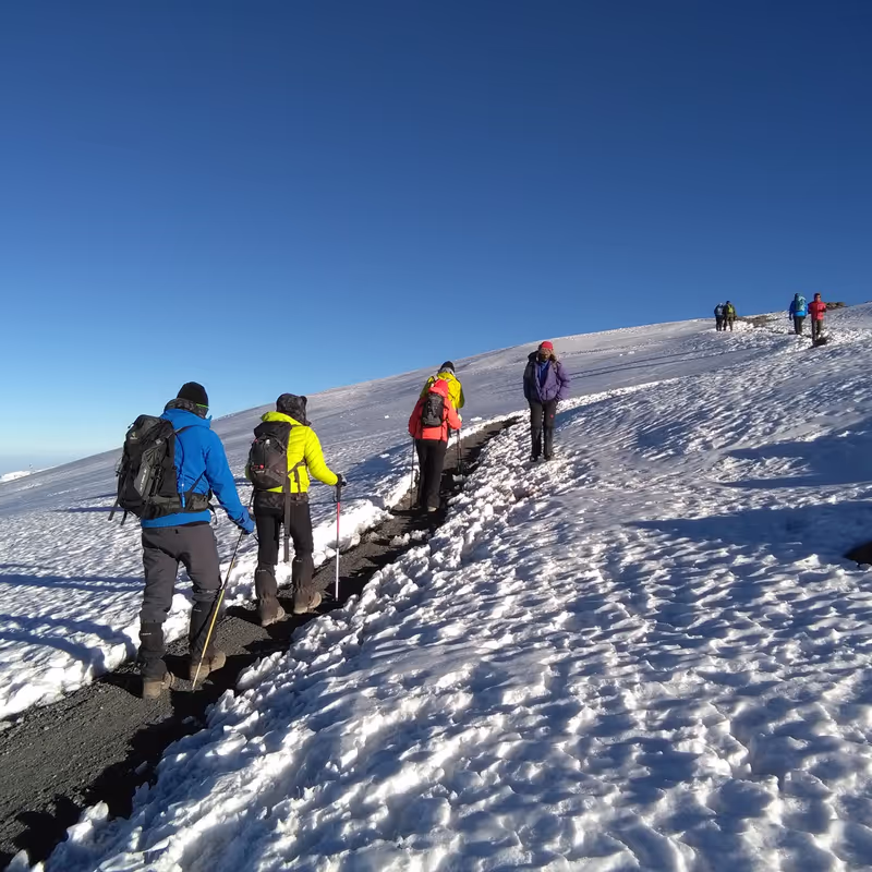 Kilimanjaro Private Tour - summit