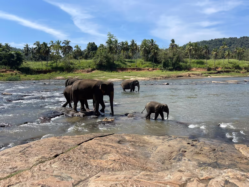 Kandy Private Tour - null