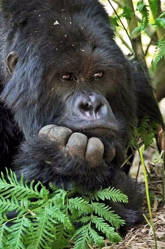Kampala Private Tour - He is posing for you  so that you take pictures for memories