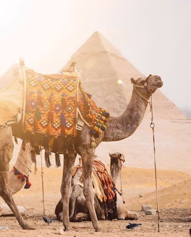 Giza Private Tour - Giza pyramids