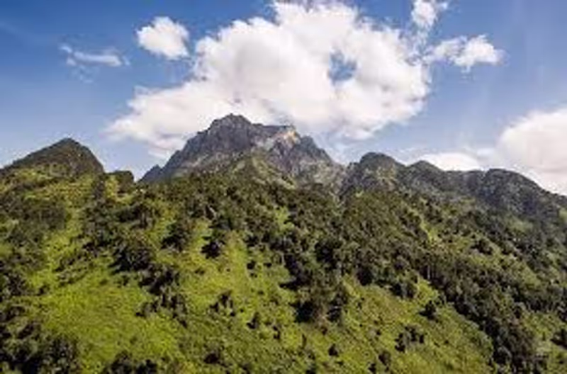 Kampala Private Tour - Trek the mountains of the moon