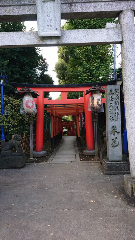 Tokyo Private Tour - Torii gate (Happy gate)
