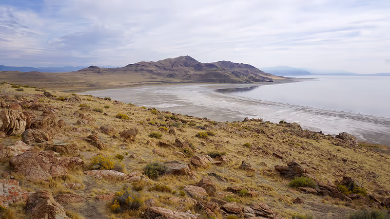 Salt Lake City Private Tour - The west side of Antelope Island