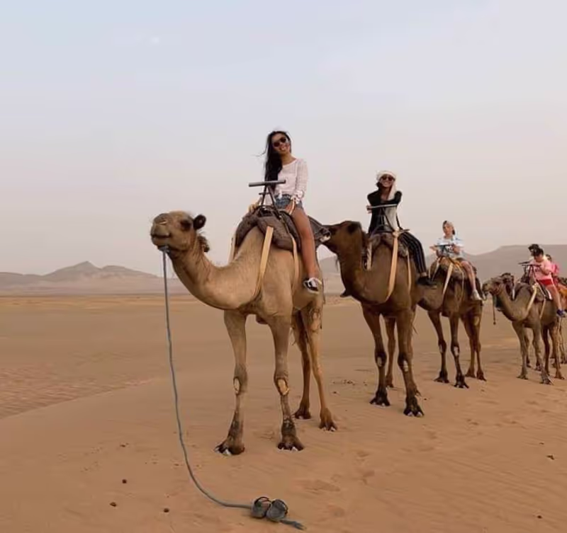 Marrakech Private Tour - null