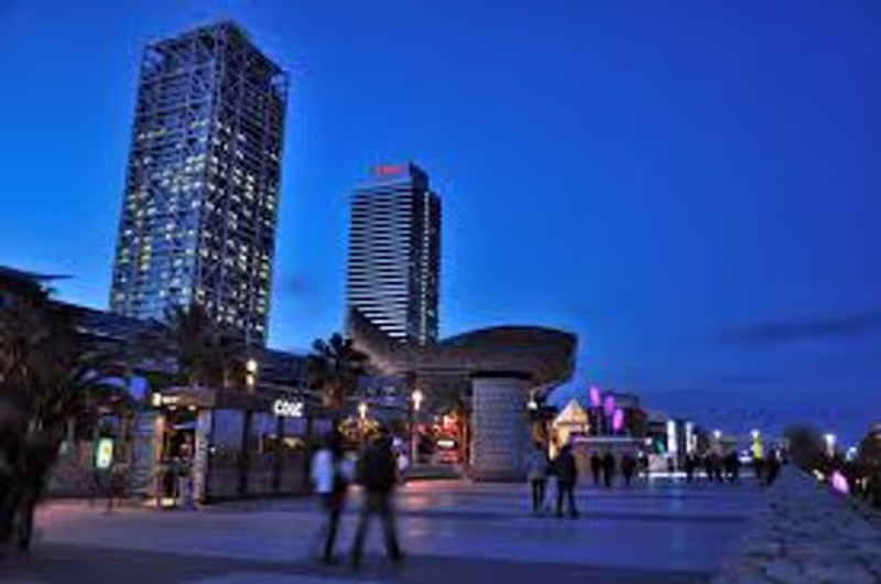 Barcelona Private Tour - null