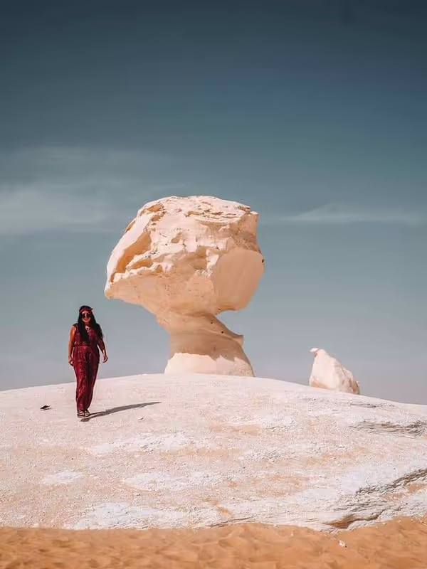 Giza Private Tour - white desert mushroom