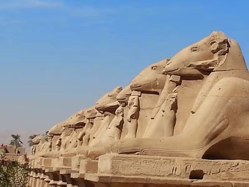 Luxor Private Tour - null