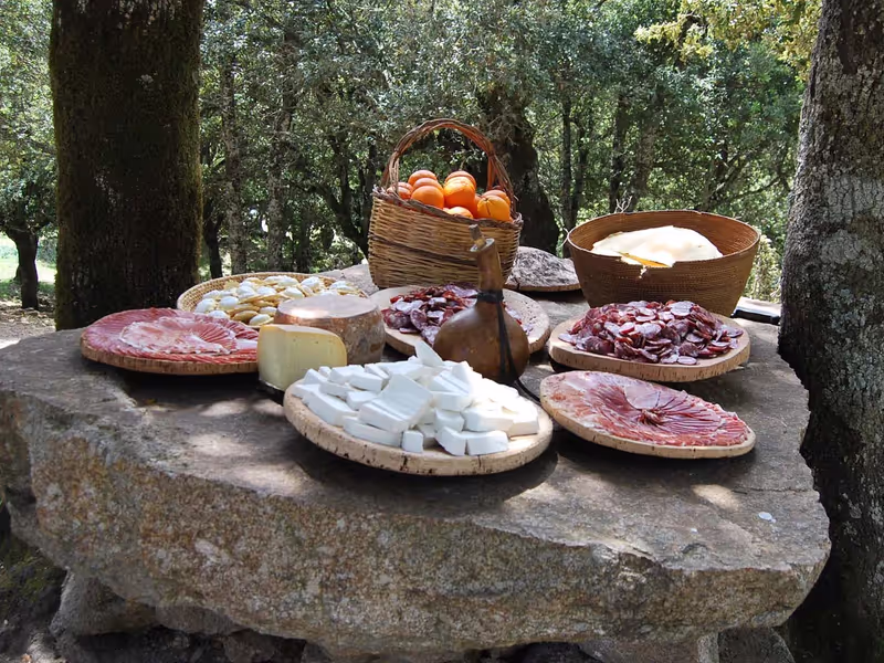 Sardinia Private Tour - also for the lunch you have a large variety appetizers: Sardinian salami, cheeses, special breads, etc