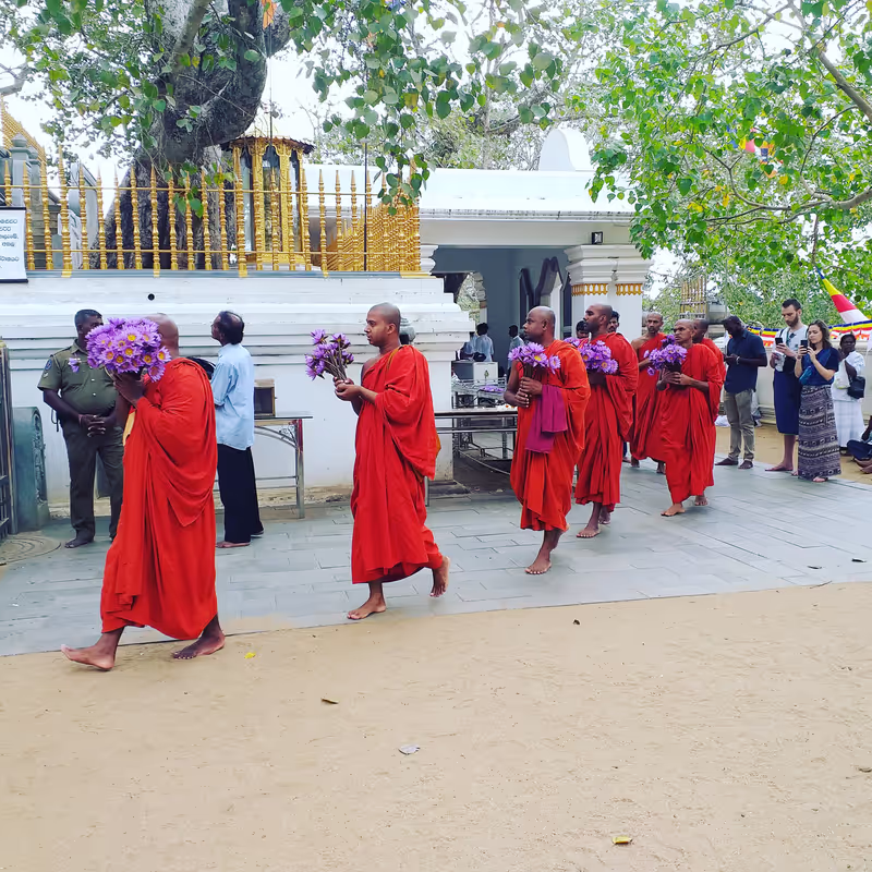 Kandy Private Tour - null