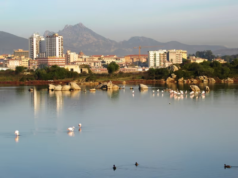 Olbia Private Tour - Gulf of Olbia