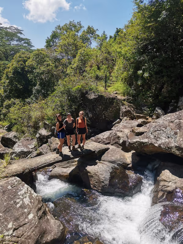 Kandy Private Tour - null