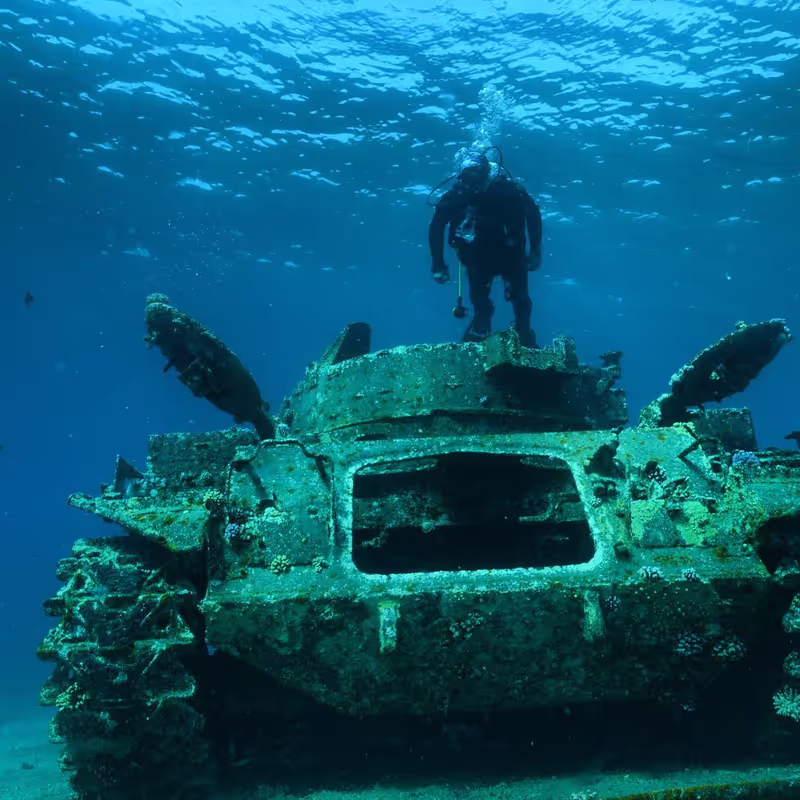 Izmir Private Tour - Tank Wreck