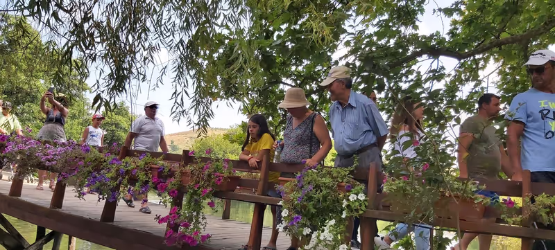 Tirana Private Tour - Feeding the swans & ducks