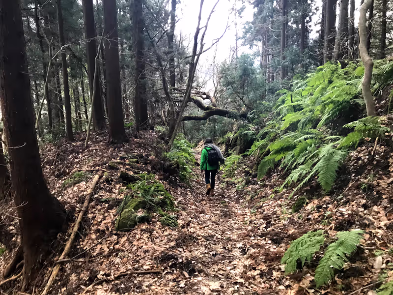 Yamagata Private Tour - explore more in yamadera, there is a hiking course in the mountain in Yamadera.I can extend the tour if you request it!
