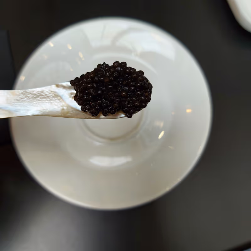 Bordeaux Private Tour - Did you know the Aquitaine region of France makes some of the best caviar in the world?