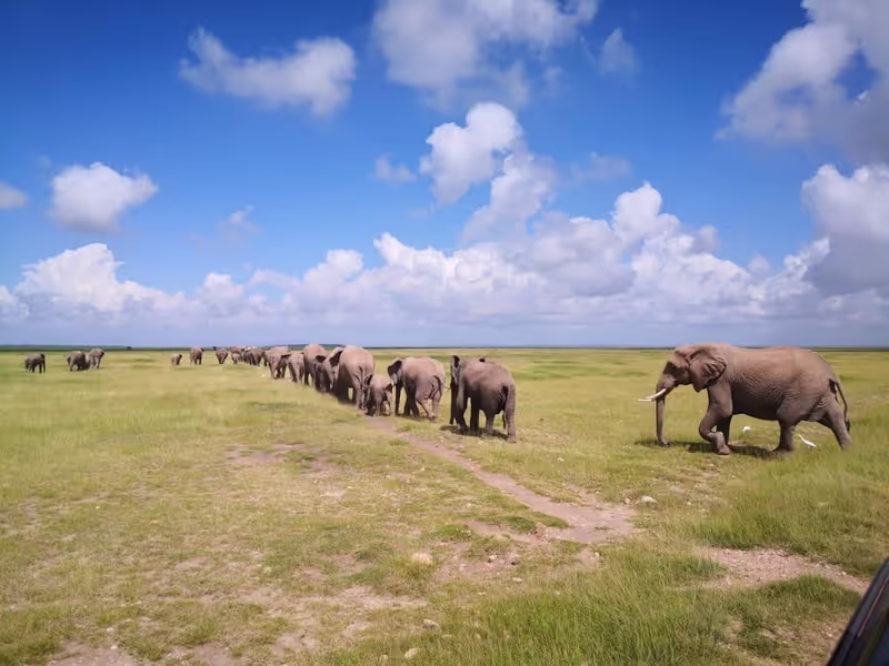 Nairobi Private Tour - null