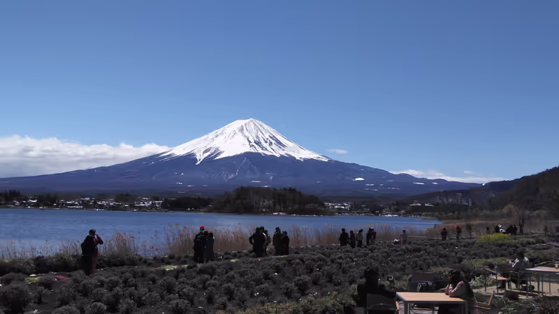 Tokyo Private Tour - From Kawaguchiko Lakeside in autumn