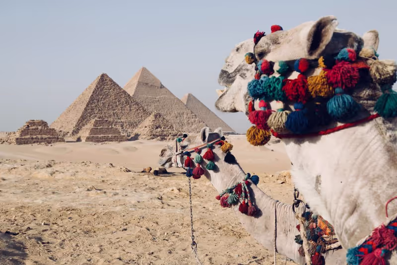 Giza Private Tour - null