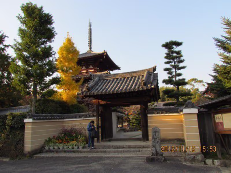 Osaka Private Tour - Horin-ji temple