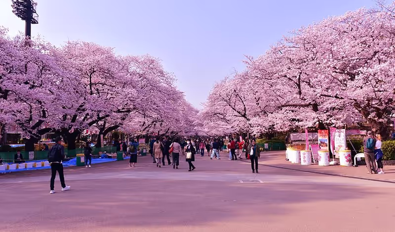 Tokyo Private Tour - Ueno Park