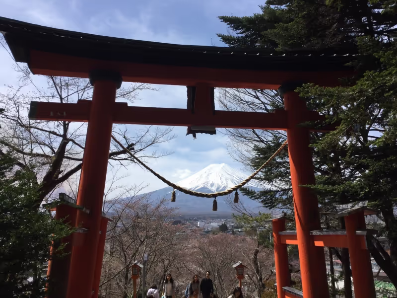 Mount Fuji Private Tour - Arakura-yama Park: The view of Mt. Fuji over a Torii gate