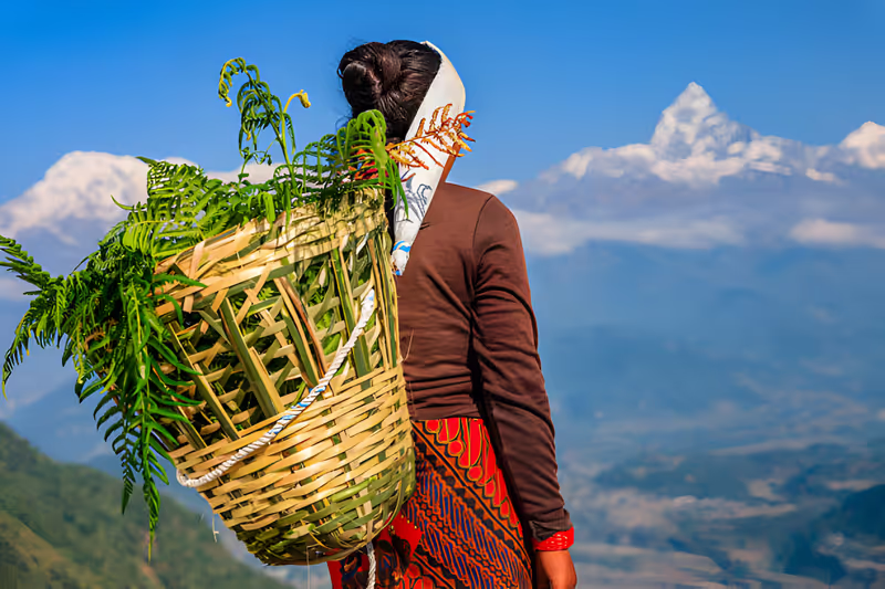 Gandaki Private Tour - Women carrying grass on basket Infront of Fishtai