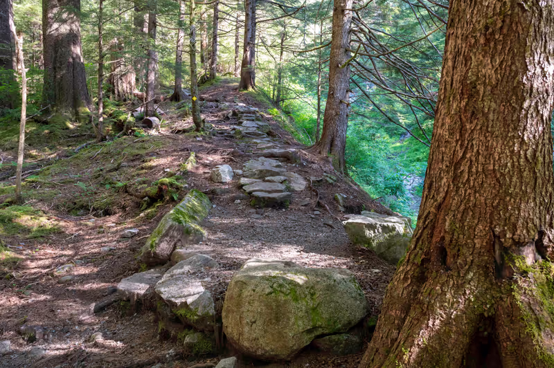 Ketchikan Private Tour - Stone trail steps