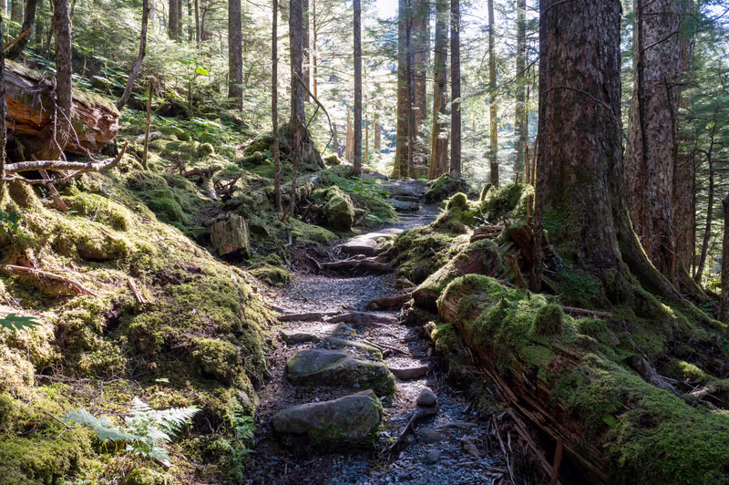 Ketchikan Private Tour - Natural trail tread