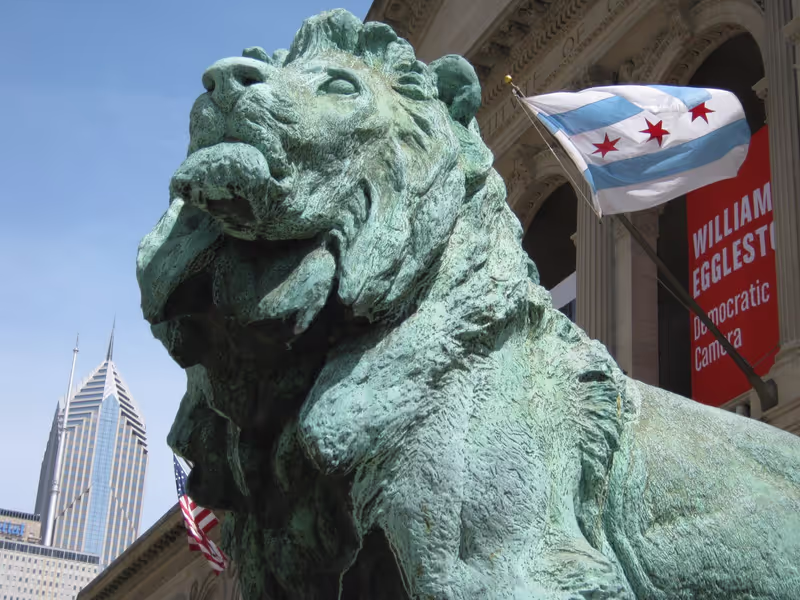 Chicago Private Tour - Art Institue Lion