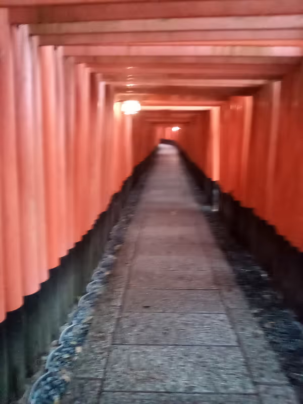 Tokyo Private Tour - Fushimi Inari Shrine