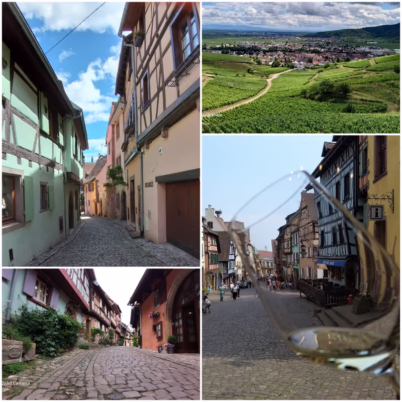 Alsace Private Tour - Visit medieval, historic villages.