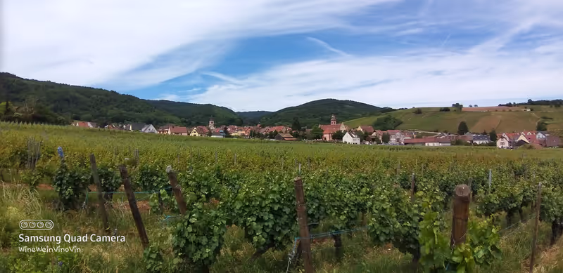 Alsace Private Tour - Charming villages.