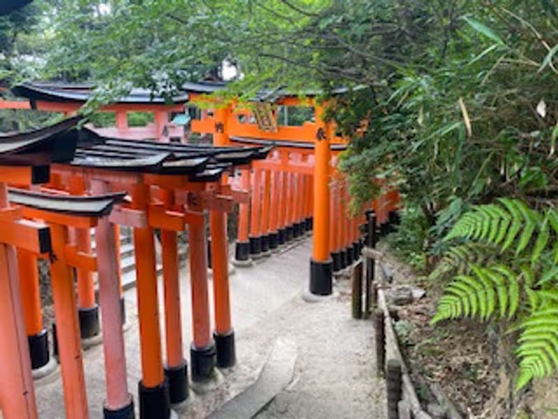 Kyoto Private Tour - Fushimi Inari Shrine