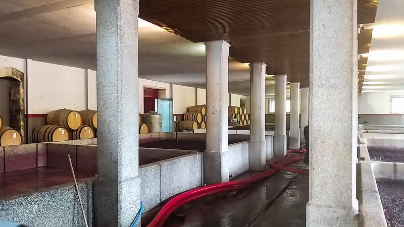 Porto Private Tour - null