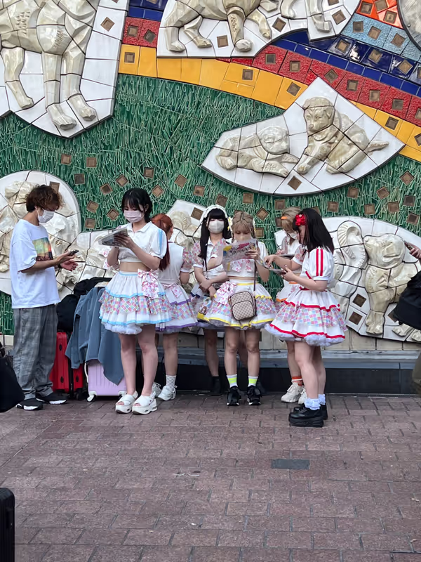 Tokyo Private Tour - null