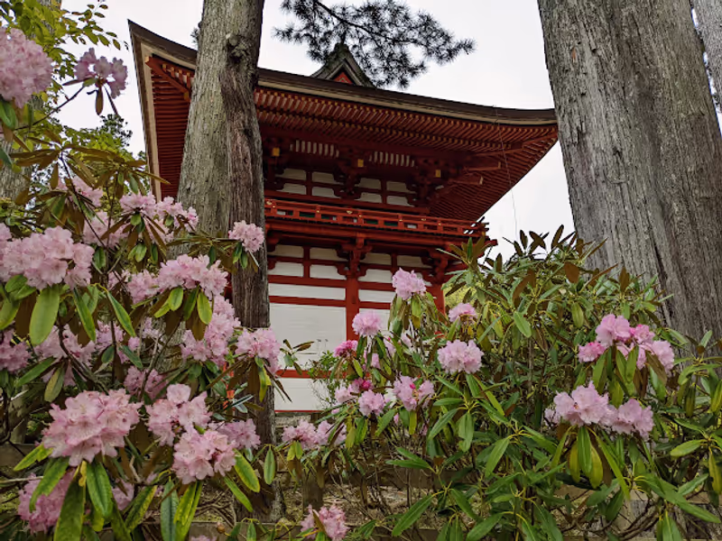 Mount Koya Private Tour - null