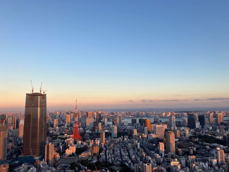 Tokyo Private Tour - From an observatory