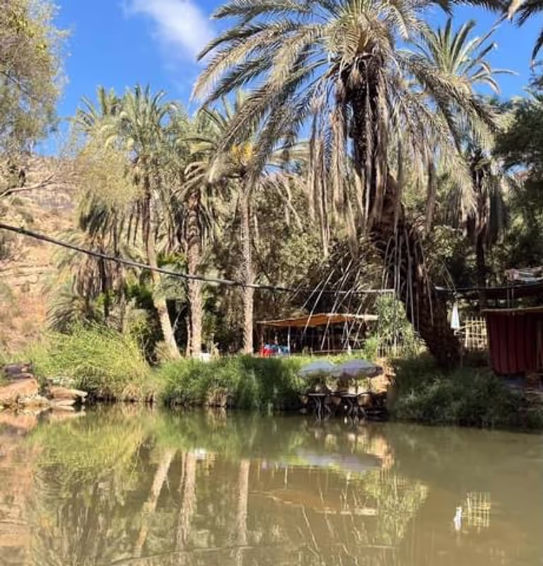 Agadir Private Tour - null
