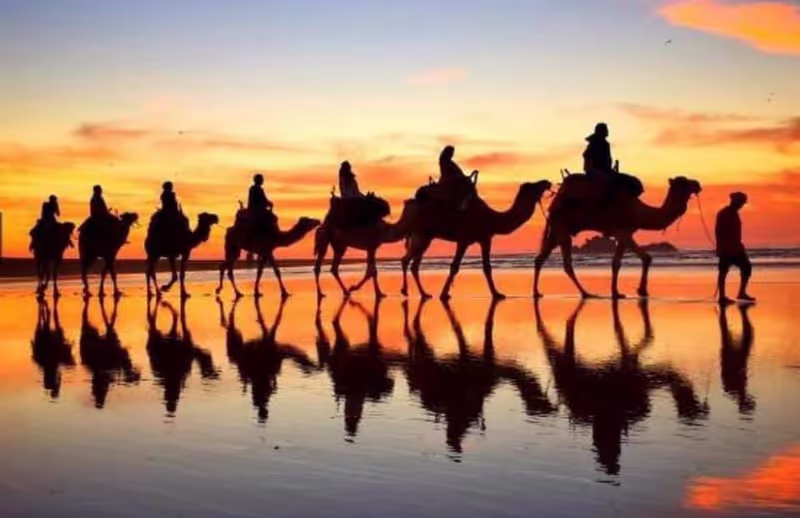 Agadir Private Tour - null