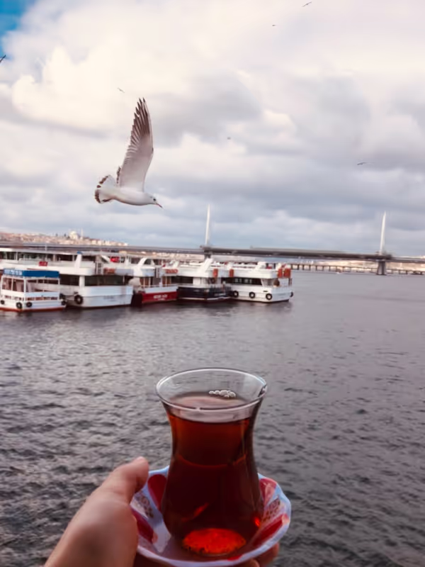 Istanbul Private Tour - null