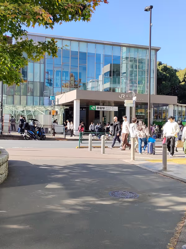 Tokyo Private Tour - Harajyuku