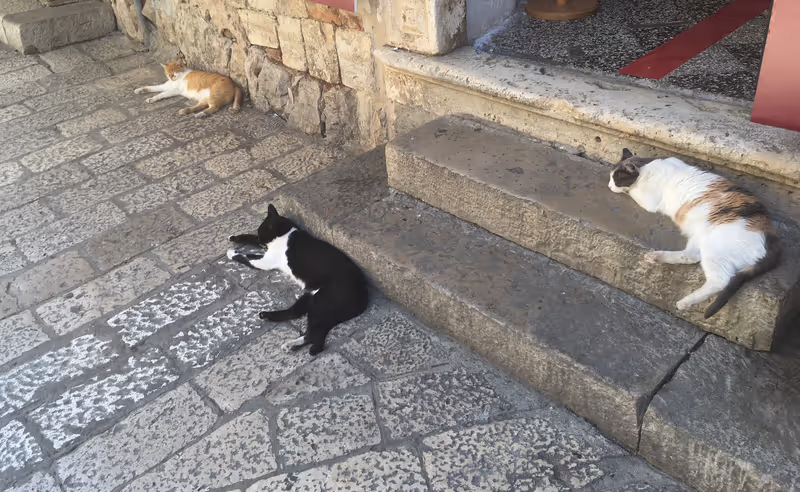 Dubrovnik Private Tour - null