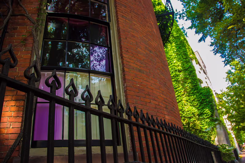 Boston Private Tour - Beacon Hill - purple panes