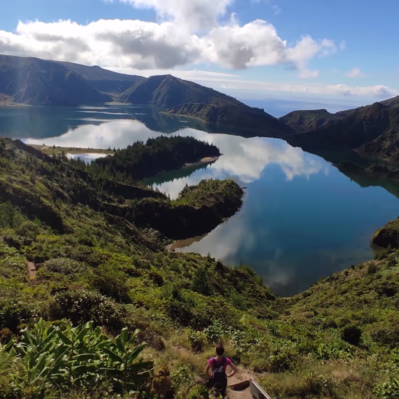 Ponta Delgada Private Tour - null