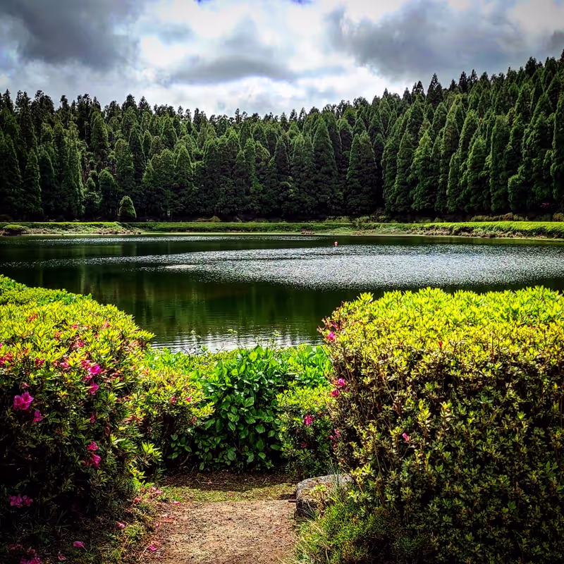 Ponta Delgada Private Tour - null