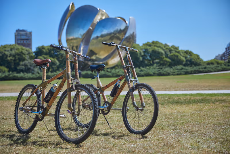 Buenos Aires Private Tour - Floralis Generica