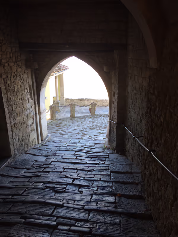 Istria Private Tour - 