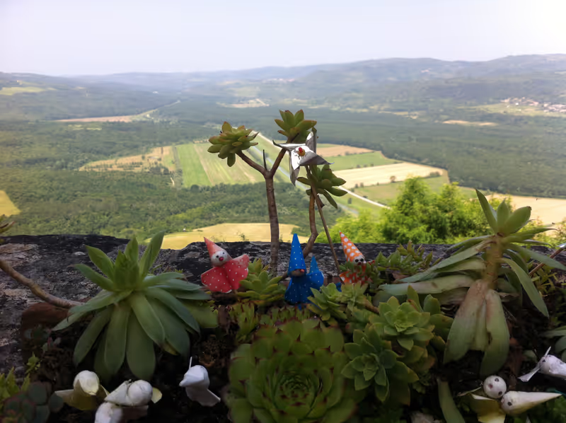 Istria Private Tour - 
